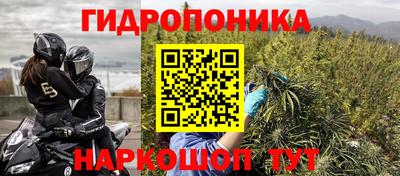 СК Гусь-Хрустальный