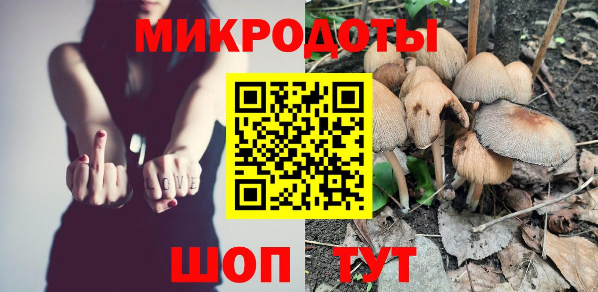 Мирный  где можно купить   Вход с VPN  Галлюциногенные грибы Cubensis  Галлюциногенные грибы прущие грибы 