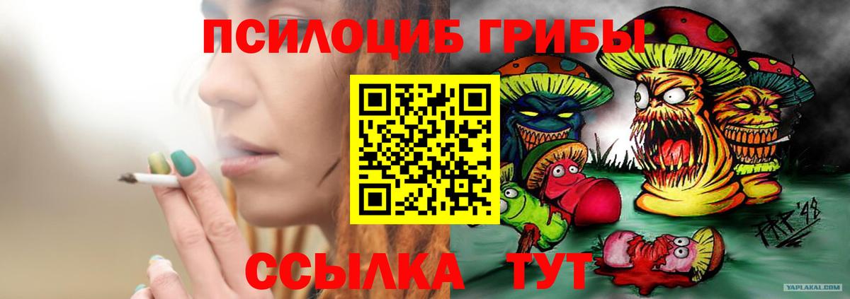 Псилоцибиновые грибы Cubensis Мирный